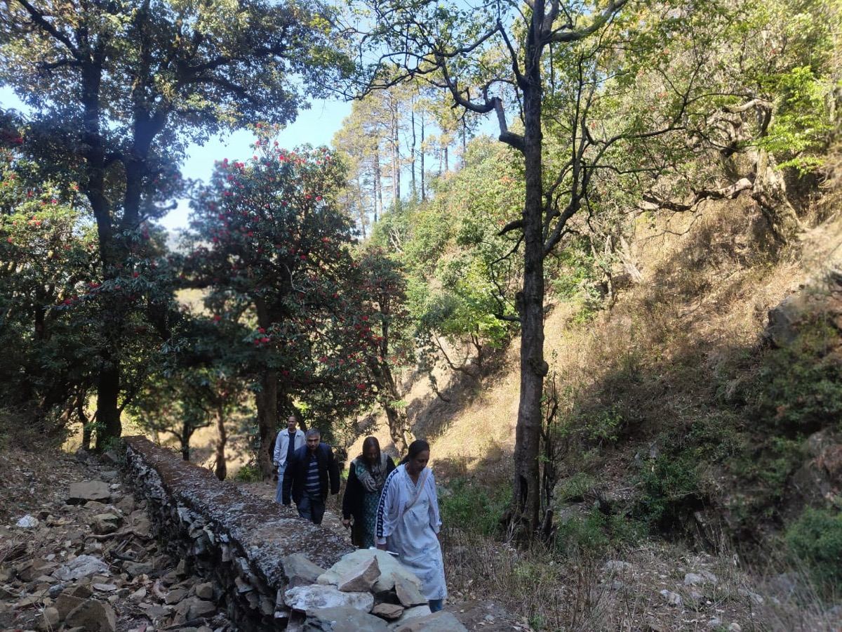 Walking the forest trail to Babaji Cave