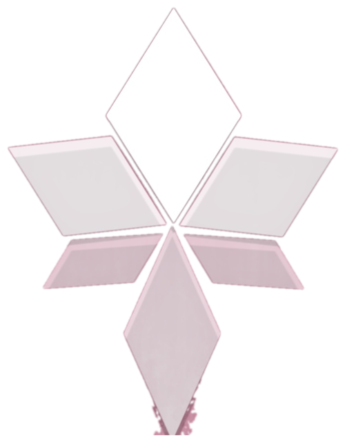 Silent Wisdom logo